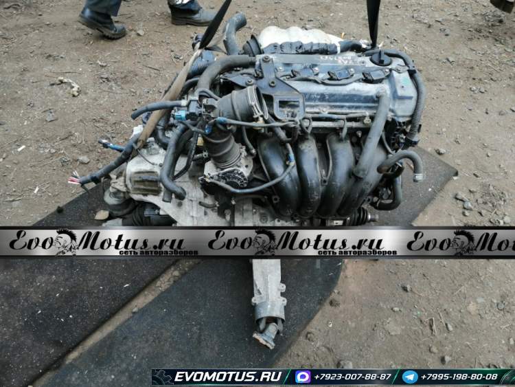 Двигатель 2AZ TOYOTA ESTIMA ACR40 (тойота эстима)